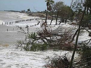 Inflow of tidal waters, Mousuni island, Sunderbans
© Arjun Manna/WWF-India
© Arjun Manna/WWF-India
