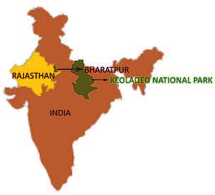 KNP is a man-made and man managed wetland.
© WWF-India
© WWF-India