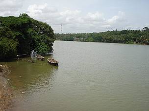 Chaliyar river in the Western Ghats
© River Research Centre, Kerala
© River Research Centre, Kerala