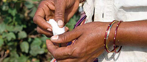 Cotton has been used as a fibre in clothing and textiles for more than 5 000 years.
© WWF-India rel=