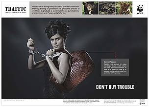 You too can help save the tiger by refusing to buy tiger parts
© TRAFFIC-India
© TRAFFIC-India