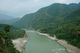 River Teesta valley in Sikkim is a home to Chinese Pangolin
© Ameen Ahmed/WWF-India
© Ameen Ahmed/WWF-India