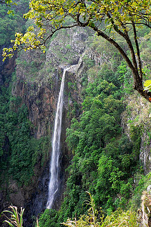 Similipal is home to some very picturesque waterfalls
© Pratyush Mohapatra/WWF-India
© Pratyush Mohapatra/WWF-India