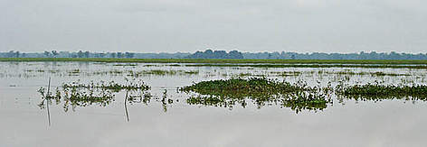 Karbi Anglong landscape
© Garga Mohan/WWF-India rel=