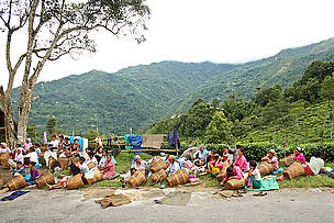 Beneficiaries of Livelihood Assistance Work
© Dipankar Ghose/WWF-India
© Dipankar Ghose/WWF-India