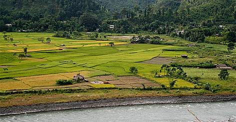 Khangchendzonga landscape is nestled in the Himalaya Biodiversity Hotspot. A wide variety of ...
© Dipankar Ghose/WWF-India rel=