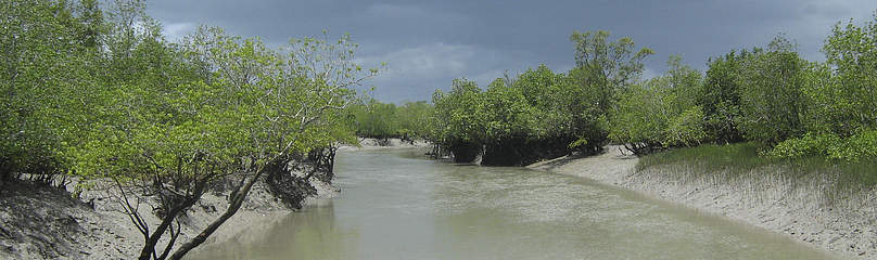© Chiranjib Chakraborty/WWF-India
© Chiranjib Chakraborty/WWF-India