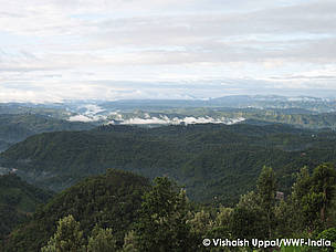 A view of Idduki District, Kerala
©
©