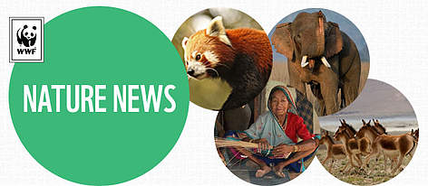 © WWF-India rel=