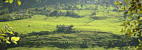North Bank Landscape
© Dipankar Ghose/WWF-India rel=