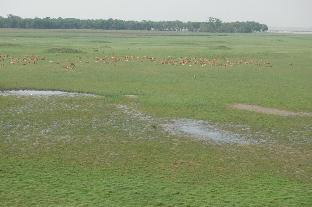list of tiger reserves in india pdf download