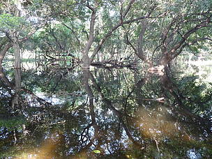 © Abhishek Bhatnagar/WWF-India
© Abhishek Bhatnagar/WWF-India