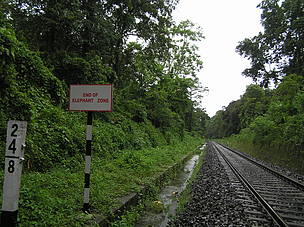 Signage erected close to elephant corridor
© Sangita Mitra/WWF-India
© Sangita Mitra/WWF-India