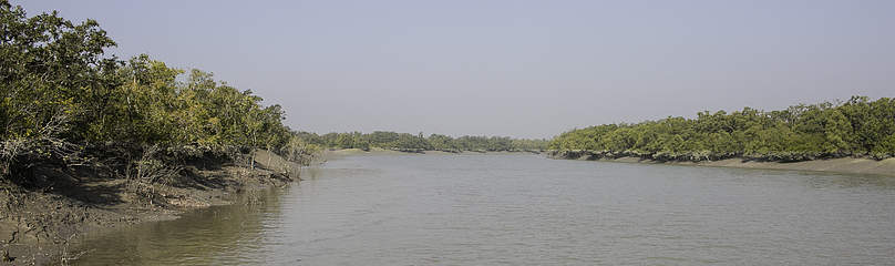 Sundarbans Landscape
© Anil Cherukupalli/WWF-India
© Anil Cherukupalli/WWF-India