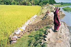 WWF-India is working locally towards alleviating threats to species through livelihood-based ...
© WWF-India Landscape of Mousuni Island, Sundarbans
© WWF-India