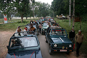 Be a responsible tourist
© Ameen Ahmed/WWF-India
© Ameen Ahmed/WWF-India