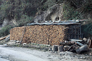 Wood being cut from the forest
© Dipankar Ghose/WWF-India
© Dipankar Ghose/WWF-India