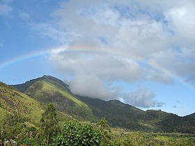 Western Ghats Landscape
© Vishaish Uppal/WWF-India
© Vishaish Uppal/WWF-India