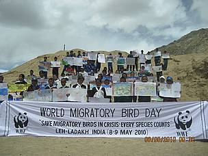 World Migratory Bird Day at Leh
© WWF-India
© WWF-India