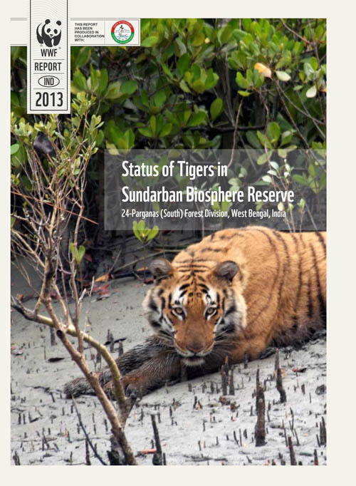 Status of Tigers in Sundarban Biosphere Reserve | WWF India